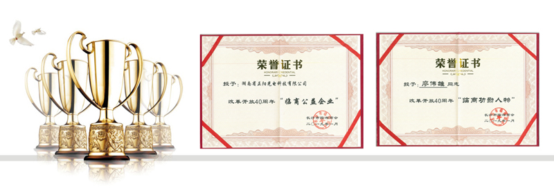 湖南正陽臨商公益企業(yè)